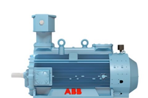 High voltage flameproof motors